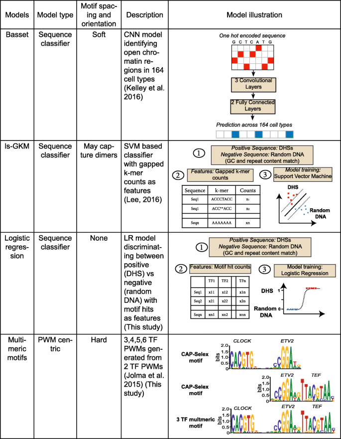 Diagram comparing four models of regulatory sequence recognition: gkm-SVM, Basset, logistic regression, and multimeric motifs.